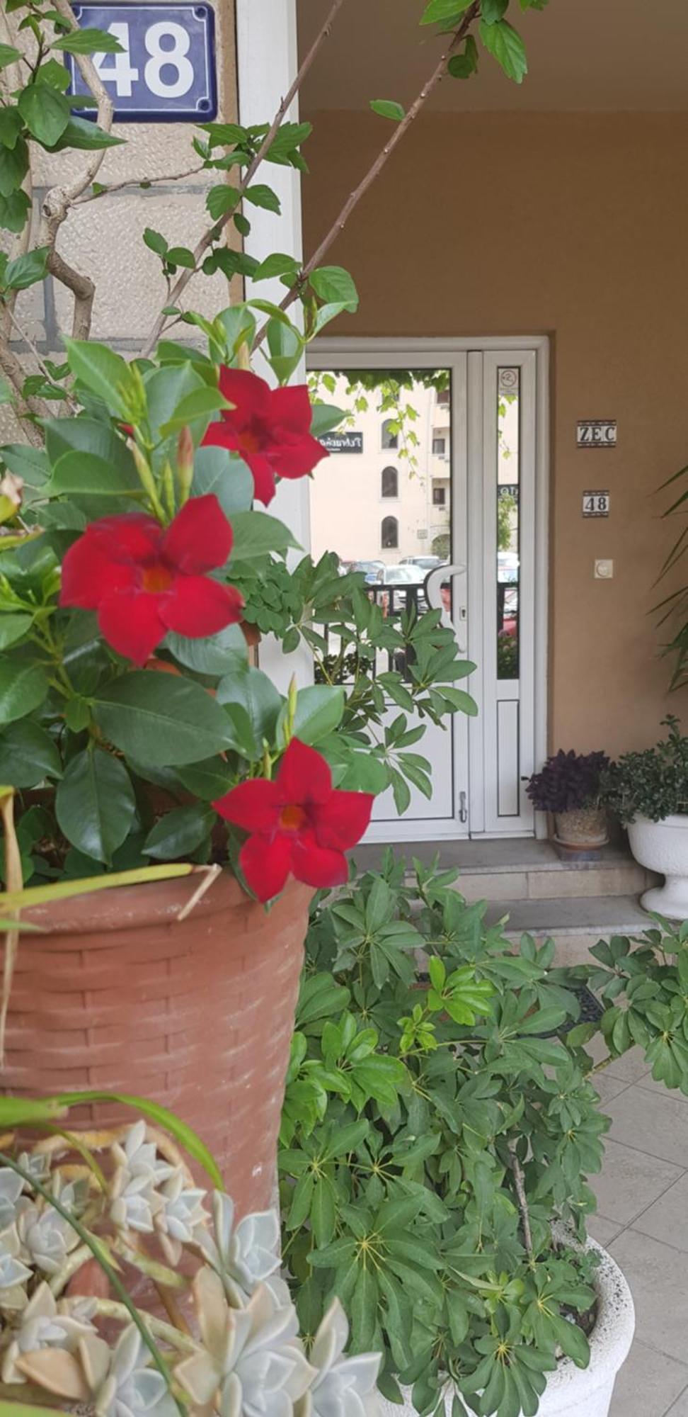 Villa Pedja Zec Exclusive 3+ Budva Exterior photo